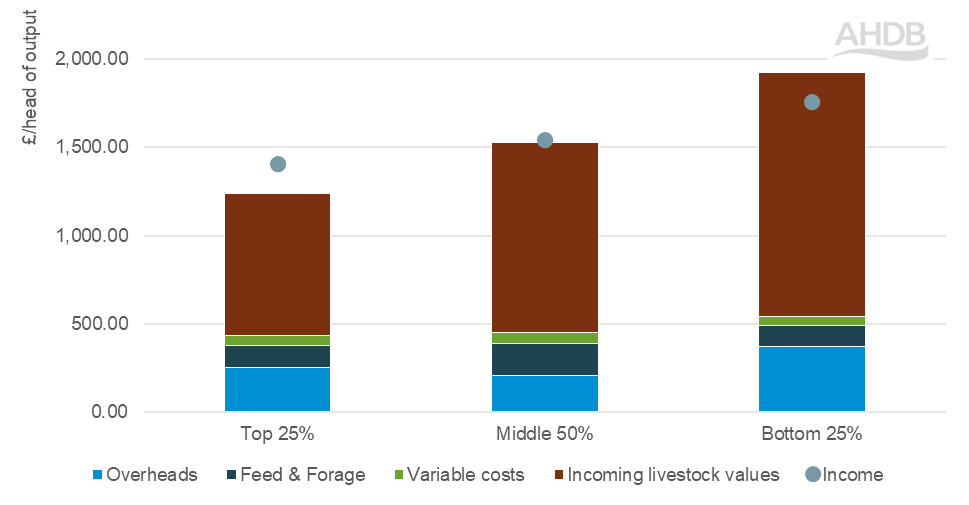 2023-24 Finishing cattle cost of production & income
